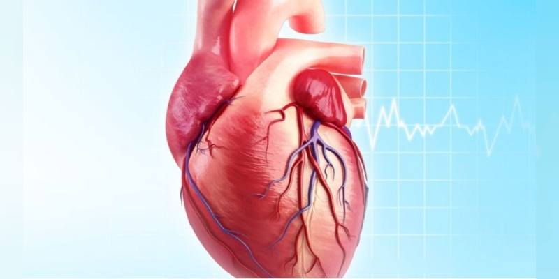 Kanıt yaşam tarzı koroner kalp sağlığını etkiler