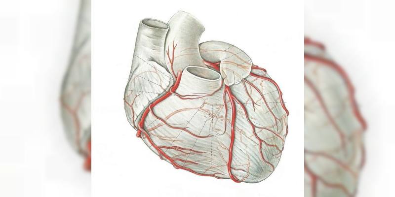 koroner arter hastalığı hipertansiyon Yoksul kalp rahatsızlığı için sağlık bakımı